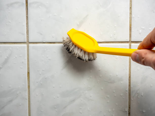 Best Emergency Mold Removal  in Shawsville, VA