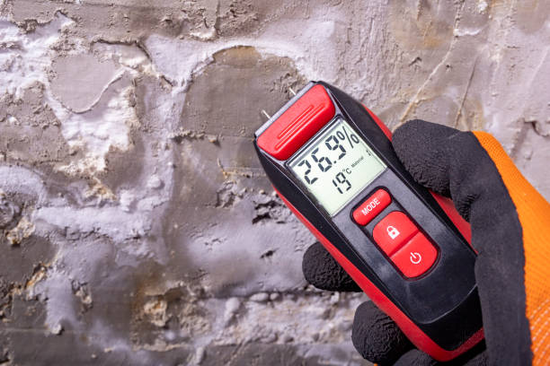 Best Professional Mold Removal  in Shawsville, VA