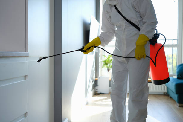Best Certified Mold Removal  in Shawsville, VA