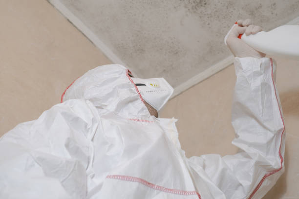Best Best Mold Removal Companies  in Shawsville, VA