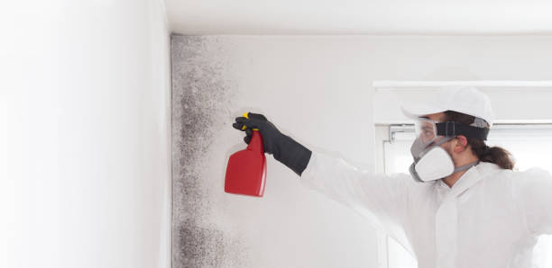 Reliable Shawsville, VA Mold Removal Solutions