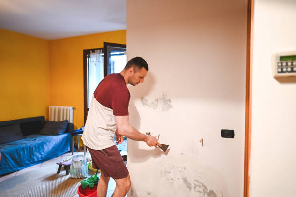 Home Mold Removal in Shawsville, VA